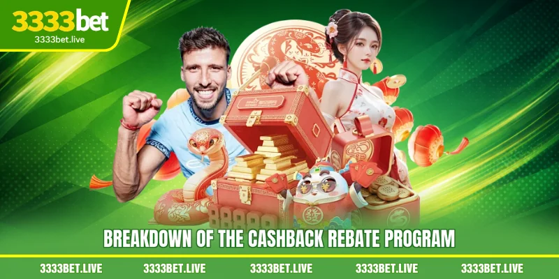 Breakdown of the Cashback Rebate Program