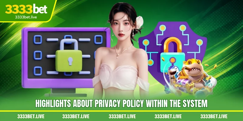 Highlights about Privacy policy within the system