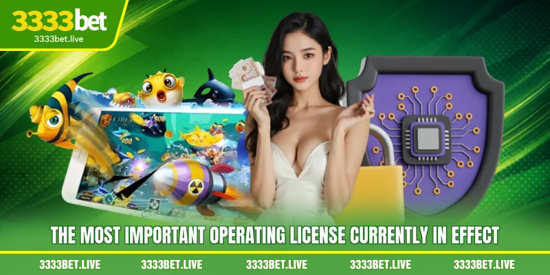 The most important Operating license currently in effect