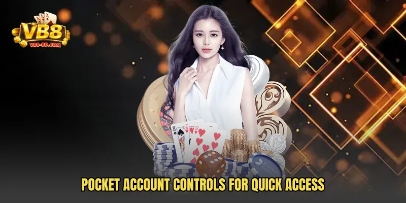 Pocket account controls for quick access
